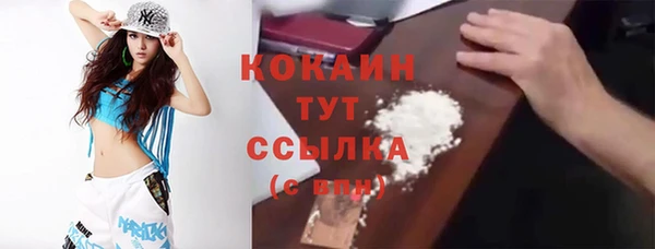 круглые Пересвет