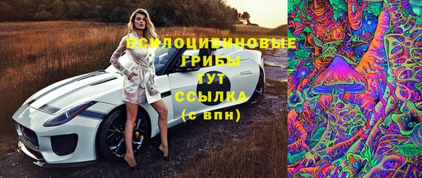 круглые Пересвет
