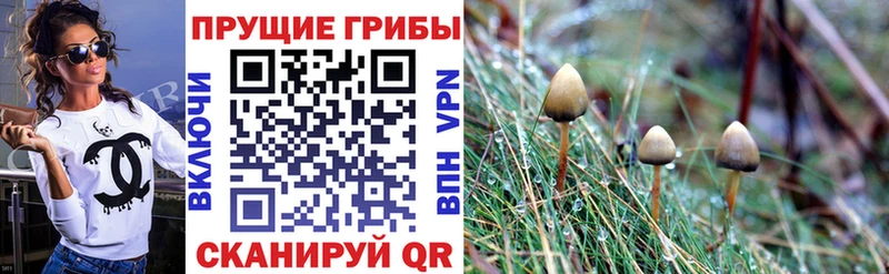 Псилоцибиновые грибы Magic Shrooms  ОМГ ОМГ зеркало  Болохово 